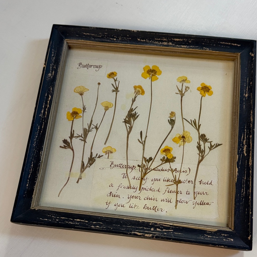 Buttercup Picture and Frame